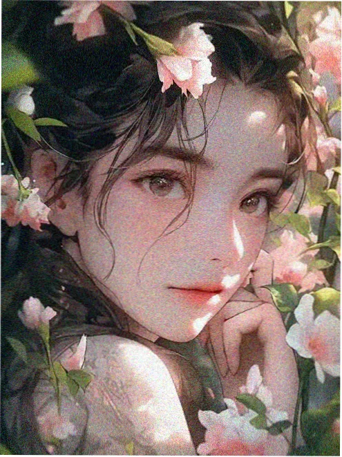 文艺高清电影 白露未晞 海报